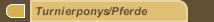 Turnierponys/Pferde